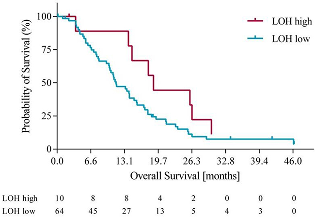 Overall survival in LOH-high and LOH-low groups.