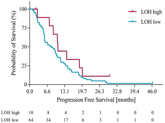 Progression free survival in LOH-high and LOH-low groups.