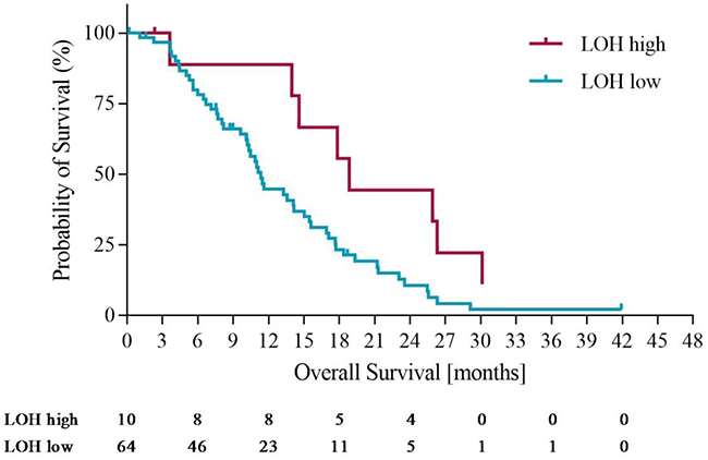 Overall survival in LOH-high and LOH-low groups with operated patients censored at time of potentially curative surgery.