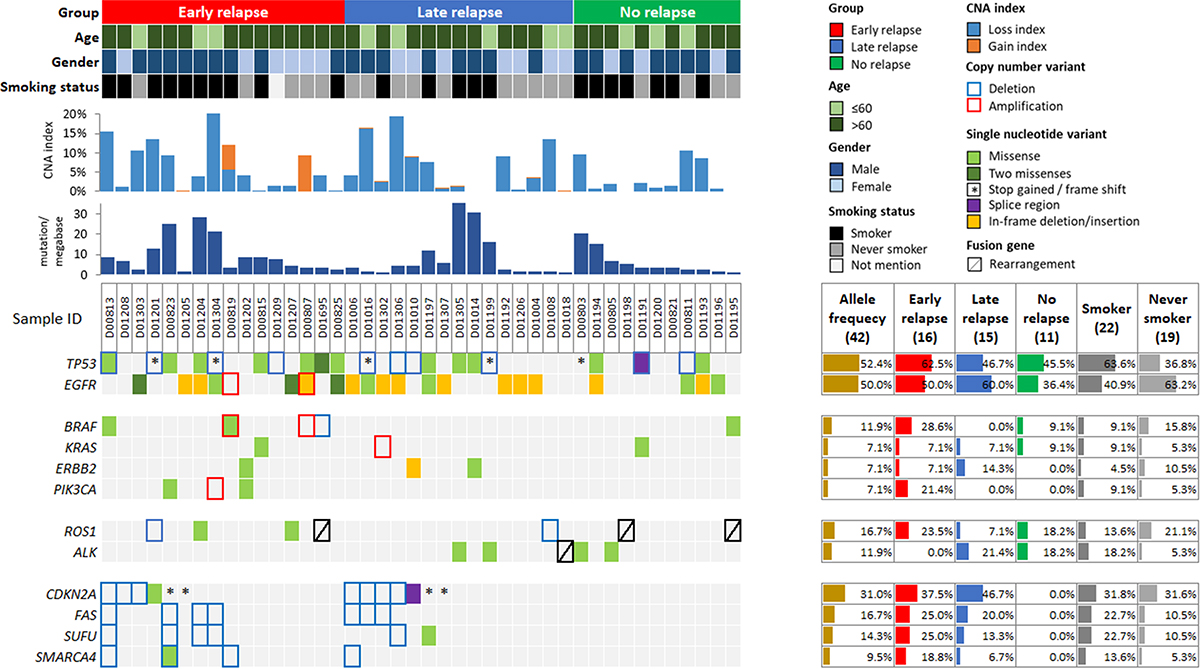 Genomic alterations identified in early-stage non-small cell lung cancer.