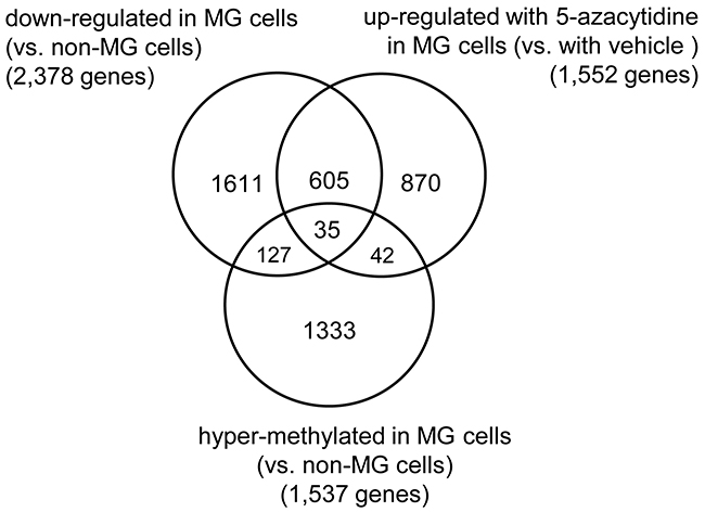 Identification of hyper-methylated and down-regulated genes in the MG cells.
