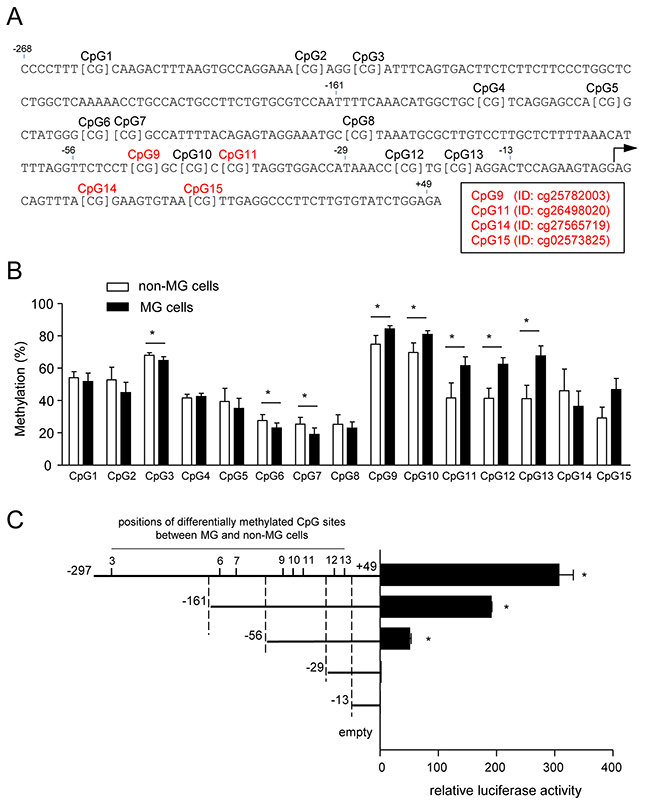 Methylation of CpG sites in the ZNF350 promoter.