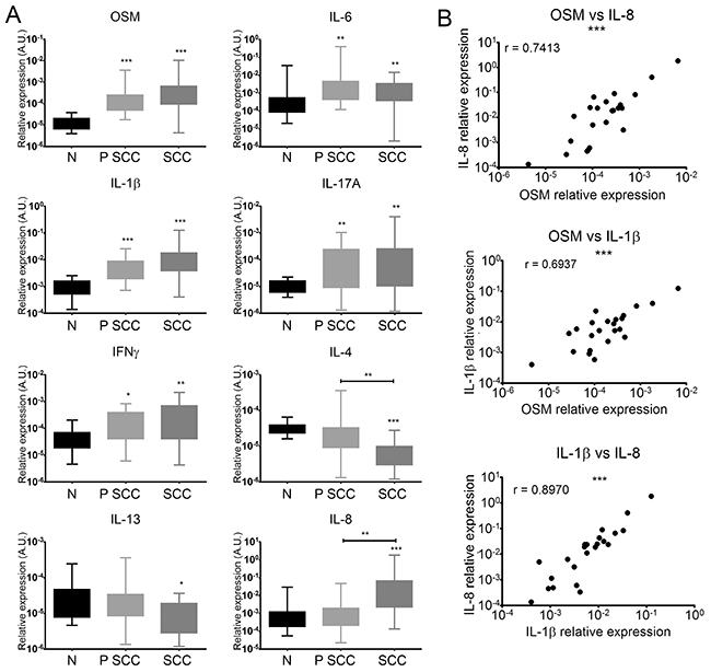 Human cSCC have a pro-inflammatory and predominantly Th1 immune microenvironment.