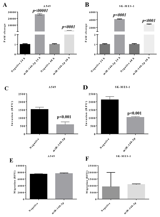 Change of miR expression and invasion properties in lung cancer cells after transfection with miR-140-3p mimic.
