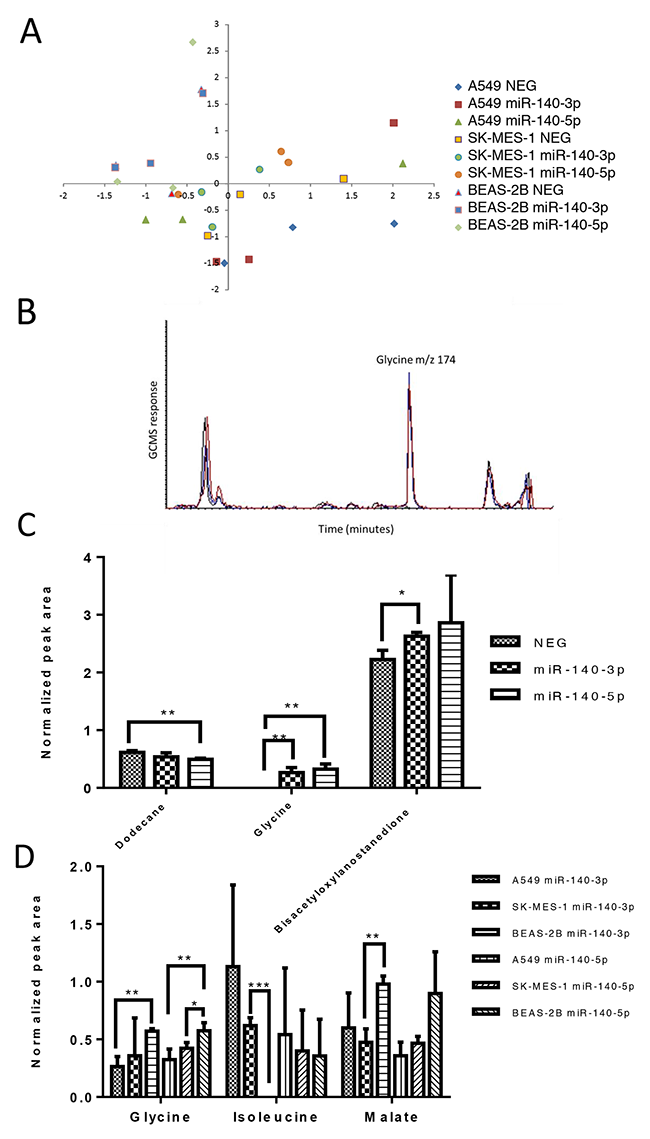 The two strands of miR-140 have minor impact upon the metabolite profile of lung cancer cells.