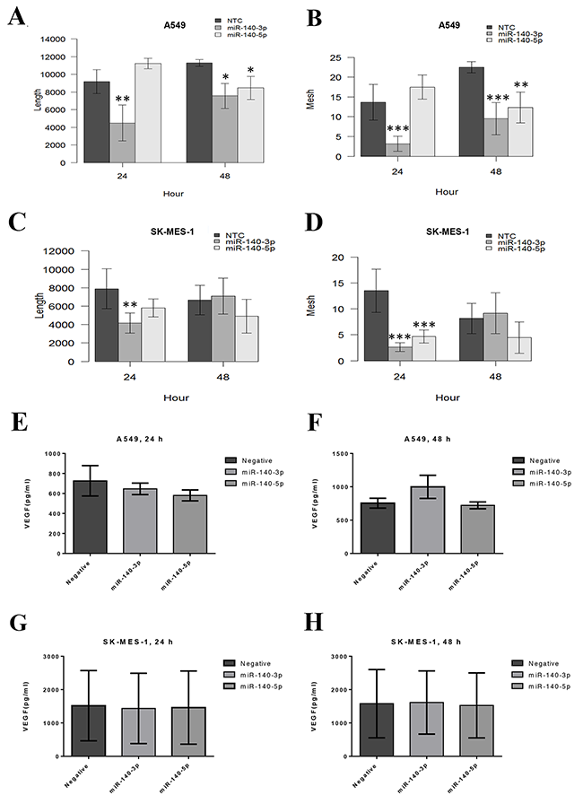 Tubule formation ability of the primary endothelial cells HUVECs co-cultured with TCM of lung cancer cells treated with miR-140-3p and 140-5p mimics.