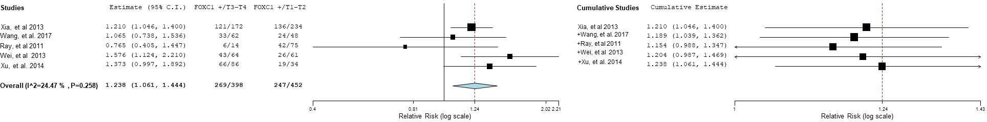 Relative risk of FOXC1 expression in early- and late-stage tumors (individual studies).