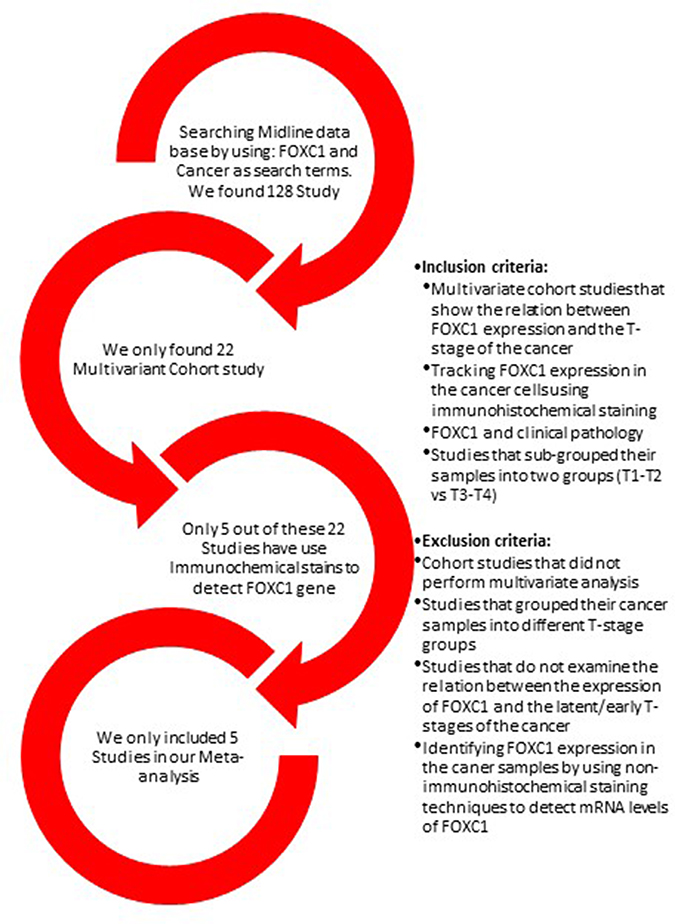 Summary of study selection.