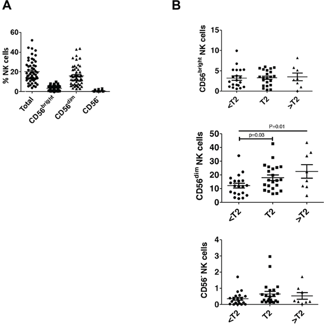 CD56dim NK cells are increased in higher stage bladder tumors.