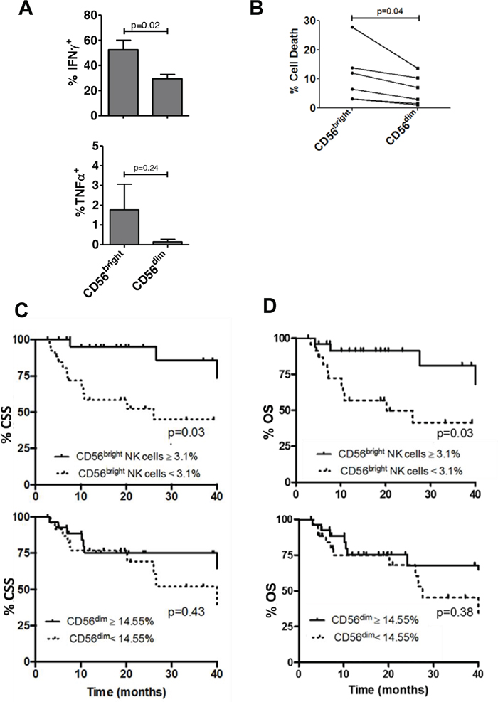 Figure 4: Intratumoral CD56<sup>bright</sup> NK cells are more functional than CD56<sup>dim</sup> NK cells and correlate with survival in bladder cancer.