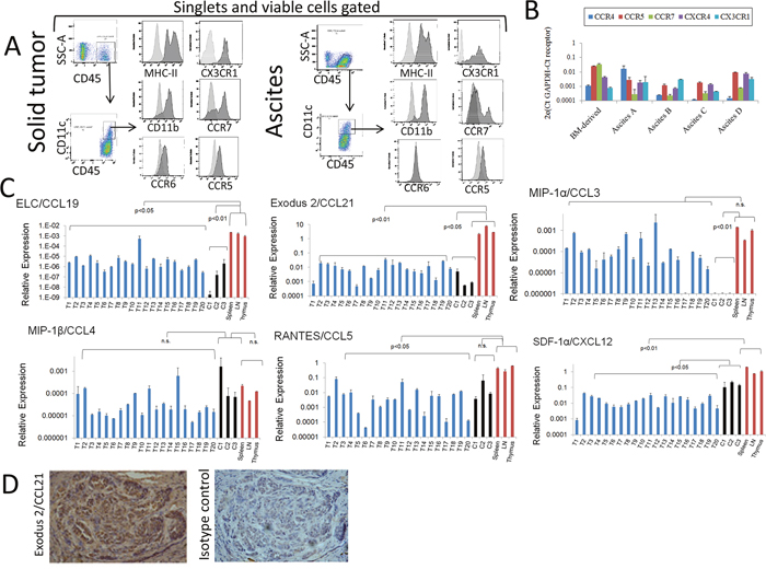 Analyses of chemokines produced by mouse ovarian tumors and expression of chemokine receptors by tumor-associated (TA)-DCs.