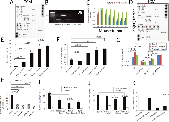 Inflammatory response of murine ovarian cancer cells to dsRNA stimulation.