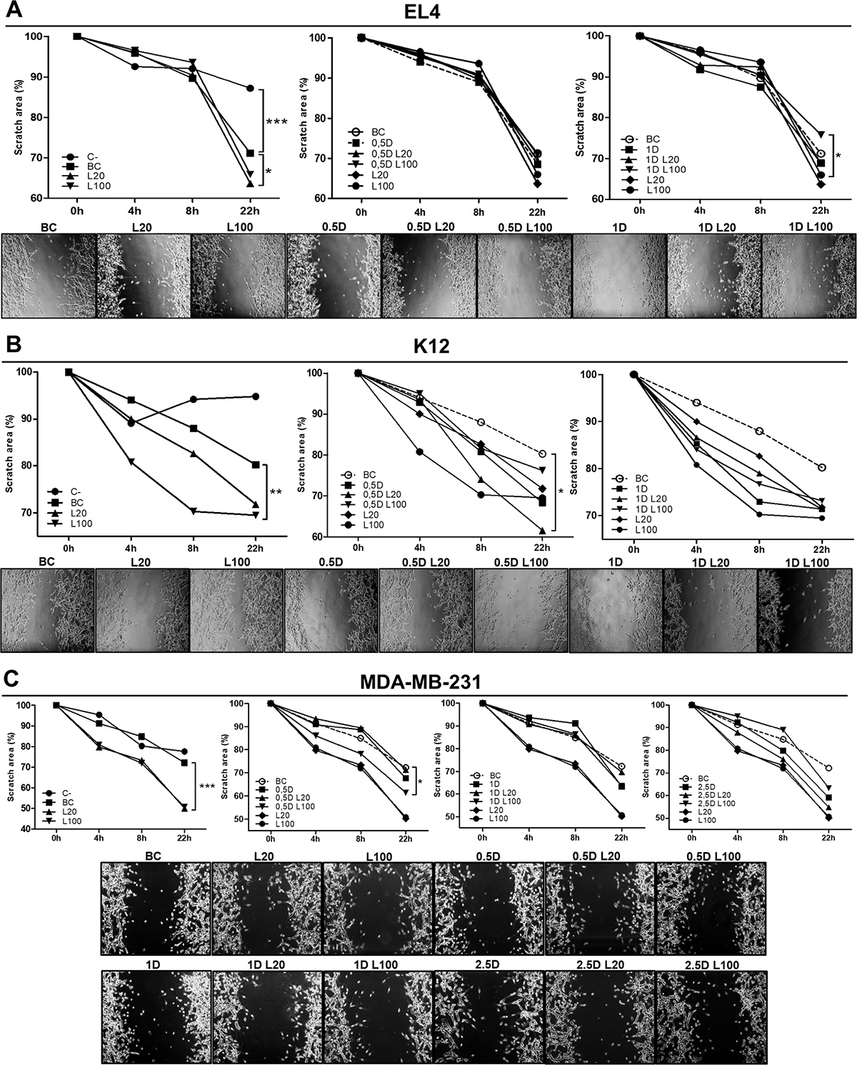 Modulation of endothelial cell migration in response to LMW HA and DOX co-treatment.