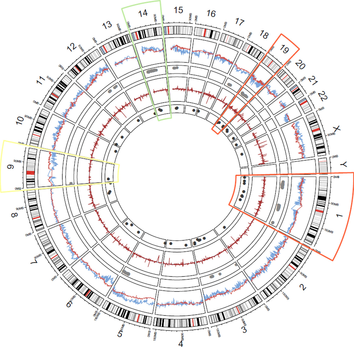 Genome-wide