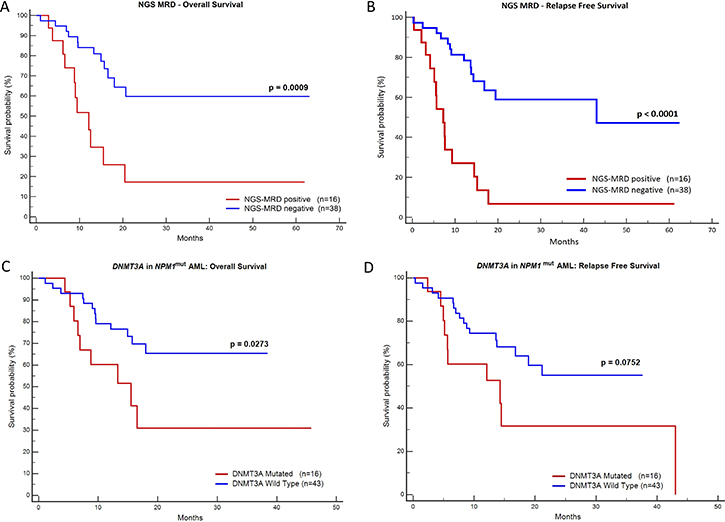 Kaplan-Meier graphs of NGS-MRD and presence of DNMT3A mutation.