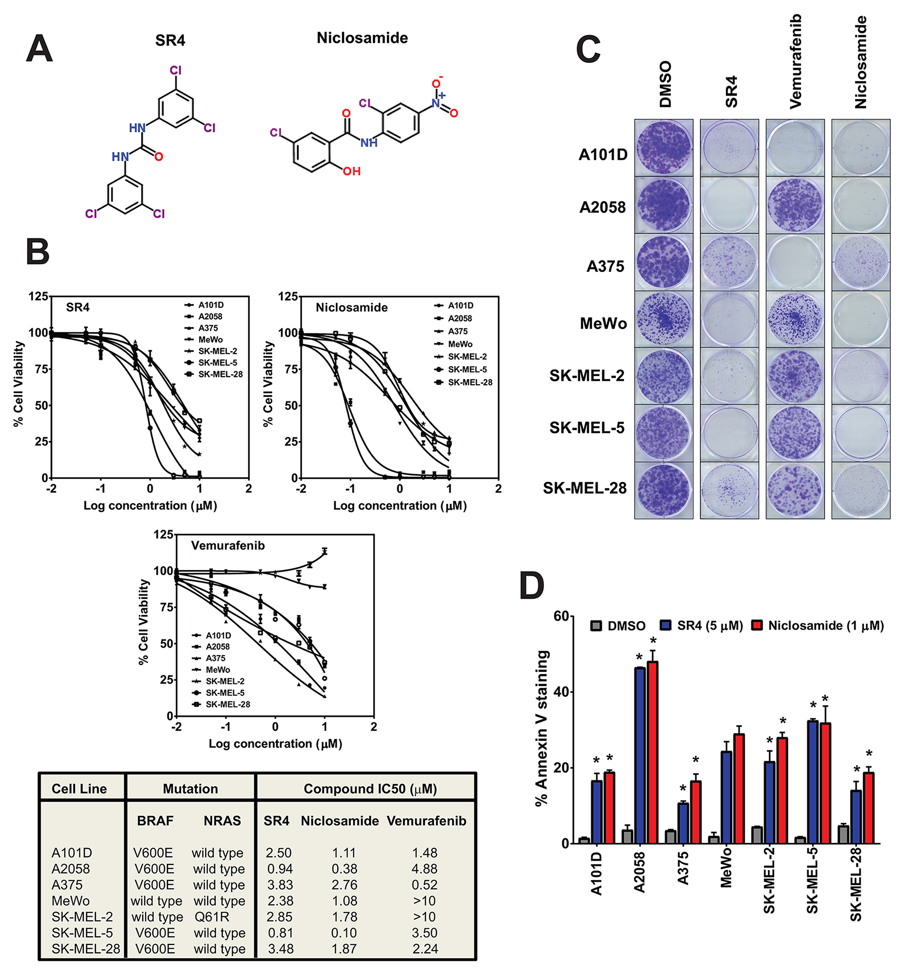 SR4 and niclosamide inhibit proliferation of melanoma irrespective of BRAF/NRAS status.