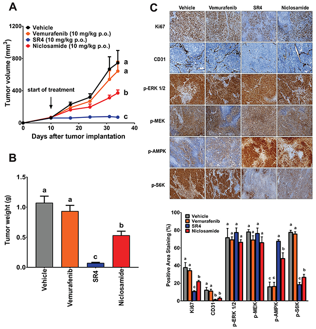 SR4 and niclosamide inhibit vemurafenib-resistant melanoma in vivo.