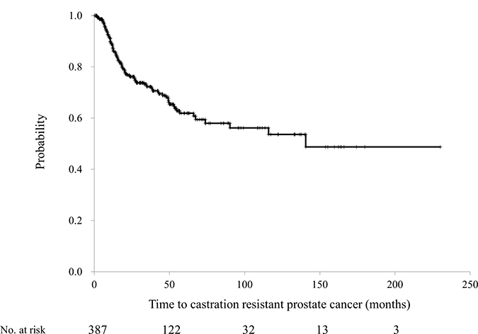 The time to developing castration-resistant prostate cancer among the 387 patients with prostate cancer treated by combined androgen blockade.