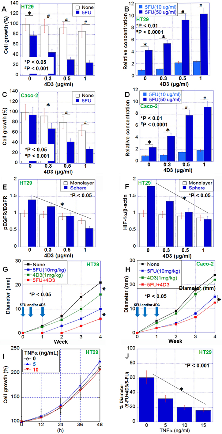 Antitumoral effect of 4D3 anti-CLDN4 antibody in human CRC cells.