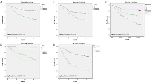 Survival curves of colorectal cancer by the Kaplan-Meier method and the log-rank test.