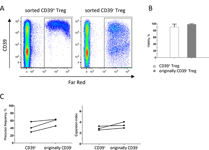 Dynamics of CD39+ and CD39&#x2212; Treg during culture.