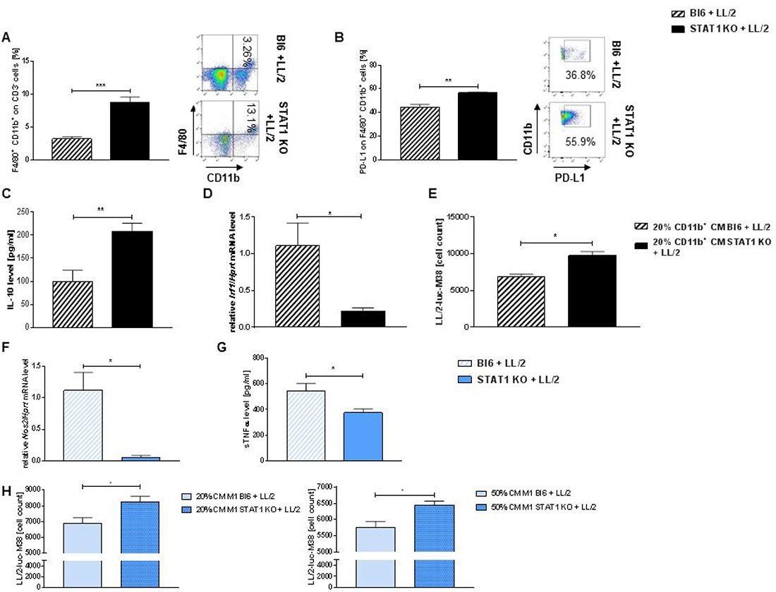 Loss of STAT1 is associated with increased infiltration of tumor associated macrophages and PD-L1 overexpression.