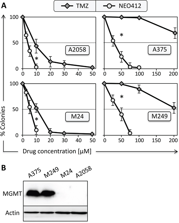 Survival of melanoma cell lines after drug treatment.