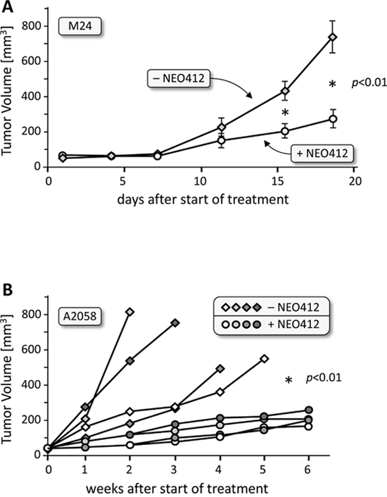 In vivo activity of transdermal NEO412 on MGMT-negative melanoma.