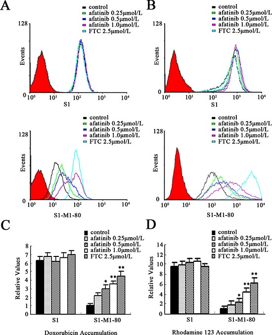 Effect of afatinib on the intracellular accumulation of Dox and Rho123 in S1 and S1-MI-80 cells.