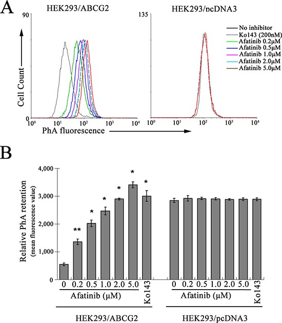 Inhibition of ABCG2-mediated PhA efflux by afatinib.