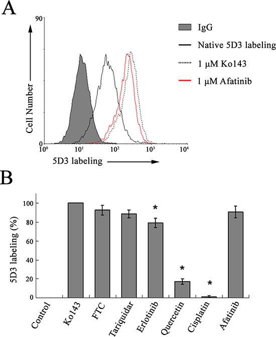 5D3 labeling in ABCG2-stably transfected HEK293 cells, suggesting interaction between afatinib and ABCG2.