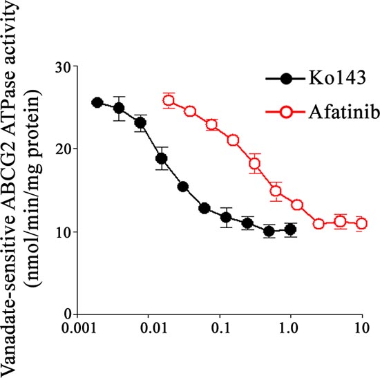 Effect of afatinib on the ATPase activity of ABCG2.