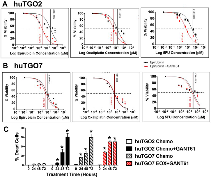 Response of human-derived gastric cancer organoids (huTGO2 and huTGO7) to standard-of-care chemotherapeutic drugs and Hh/Gli inhibitor GANT61.