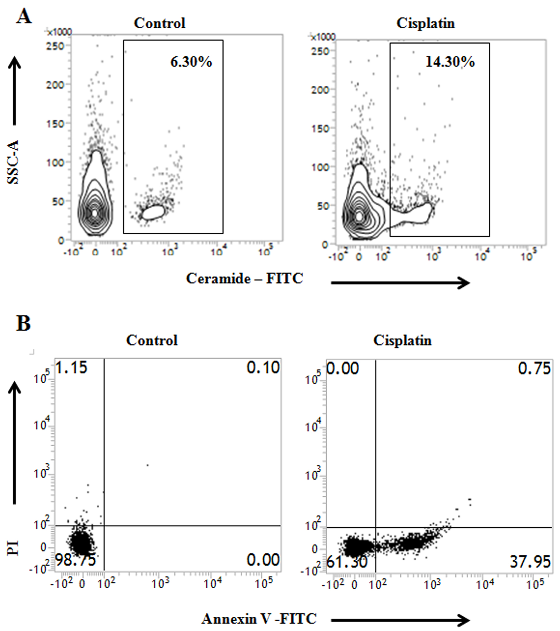 Cisplatin continues to induce apoptosis by ceramide generation during hypoxic condition in PKC&#x03B4; silenced B16F10 Cells.