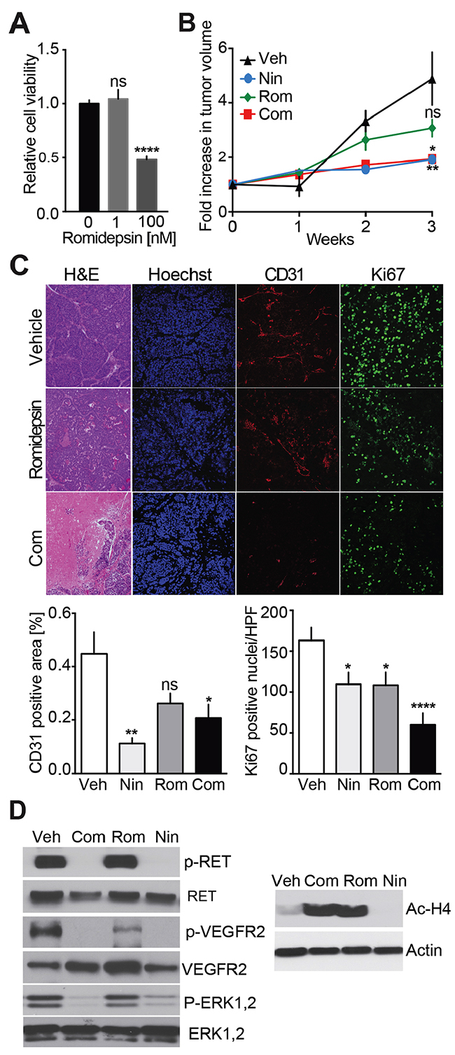 Analysis of Nintedanib/Romidepsin anti-tumor effect on MTC proliferation.