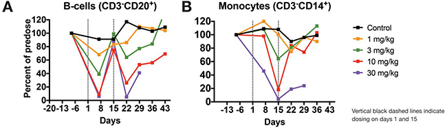 STRO-001 induces dose-responsive ablation of B-cells in cynomolgus monkeys.