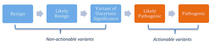 American college of medical genetics and genomics and the association for molecular pathology variant classification guidelines.