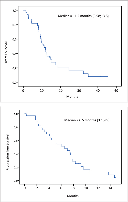 Kaplan-Meier estimate of overall survival and progression free survival.