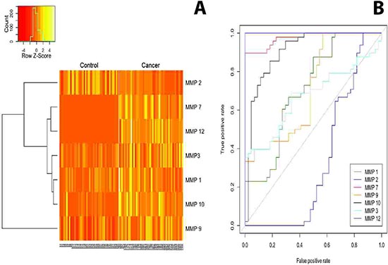 (A) The heatmap displays the expression pattern of serum MMPs in samples from healthy donors (control) and patients with pancreatic cancer.