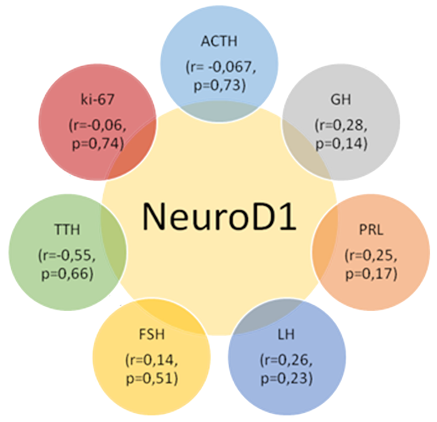 Correlation values between the average numbers of cells with hormone, Neuro D1 and Ki-67 expression in the pituitary gland; p&#x003E;0.05