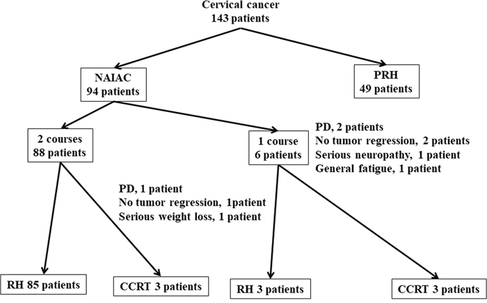 Among the 143 patients with locally advanced cervical cancer, 94 patients received neoadjuvant intraarterial chemotherapy (NAIAC), and 49 patients underwent primary radical hysterectomy (PRH).