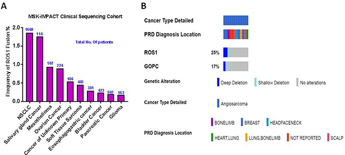 Frequency of ROS1 gene fusions in cancer.