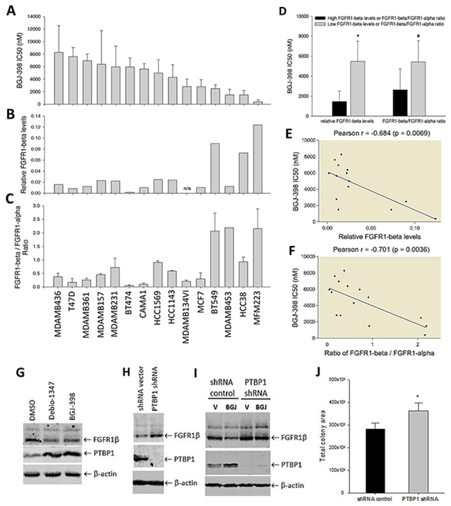 Effects of FGFR1&#x03B1; and FGFR1&#x03B2; on cell sensitivity to FGFR inhibitors on cell survival.