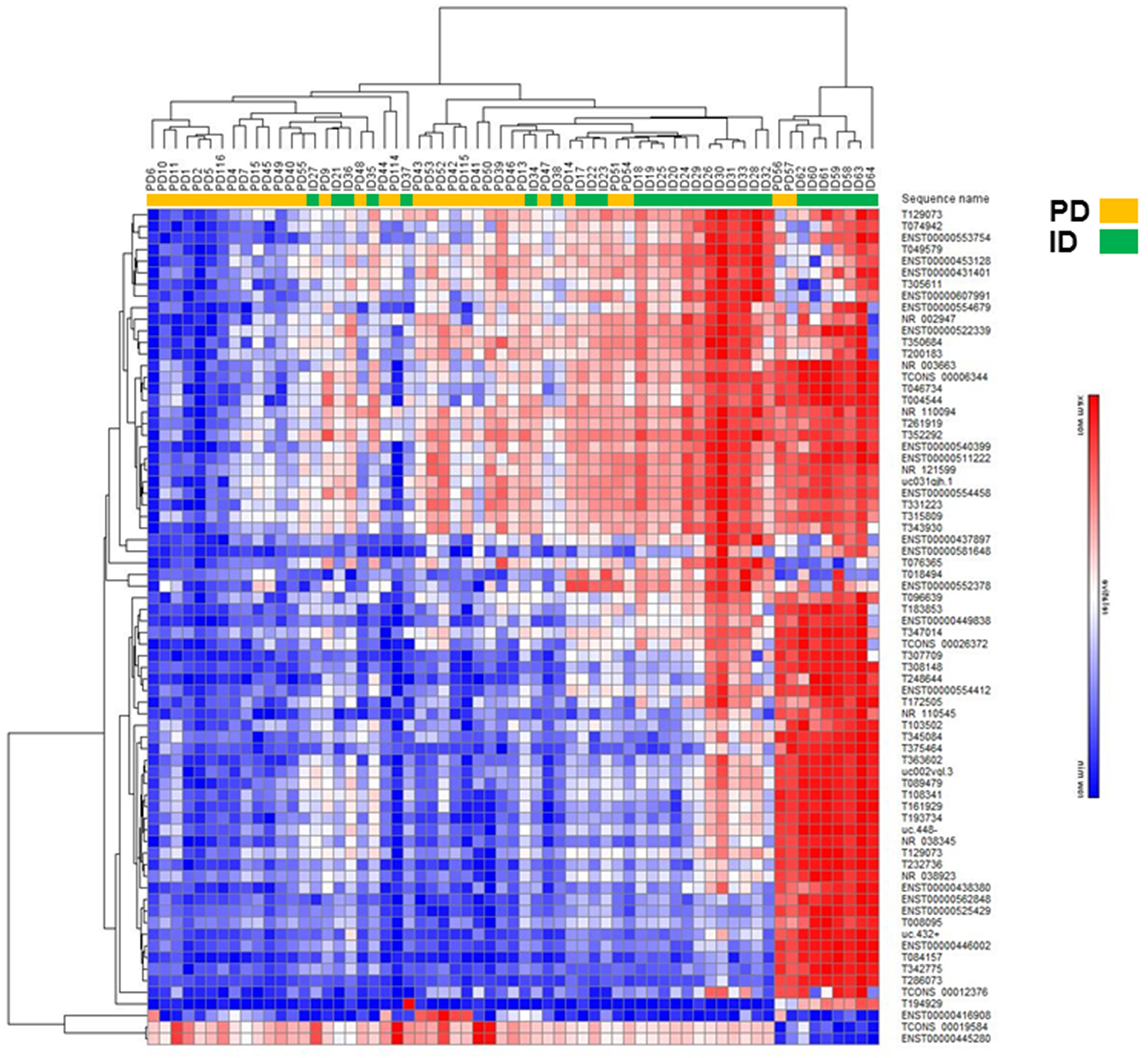 Hierarchical clustering analysis of differentially expressed lncRNAs in PD vs ID early stage CLL.