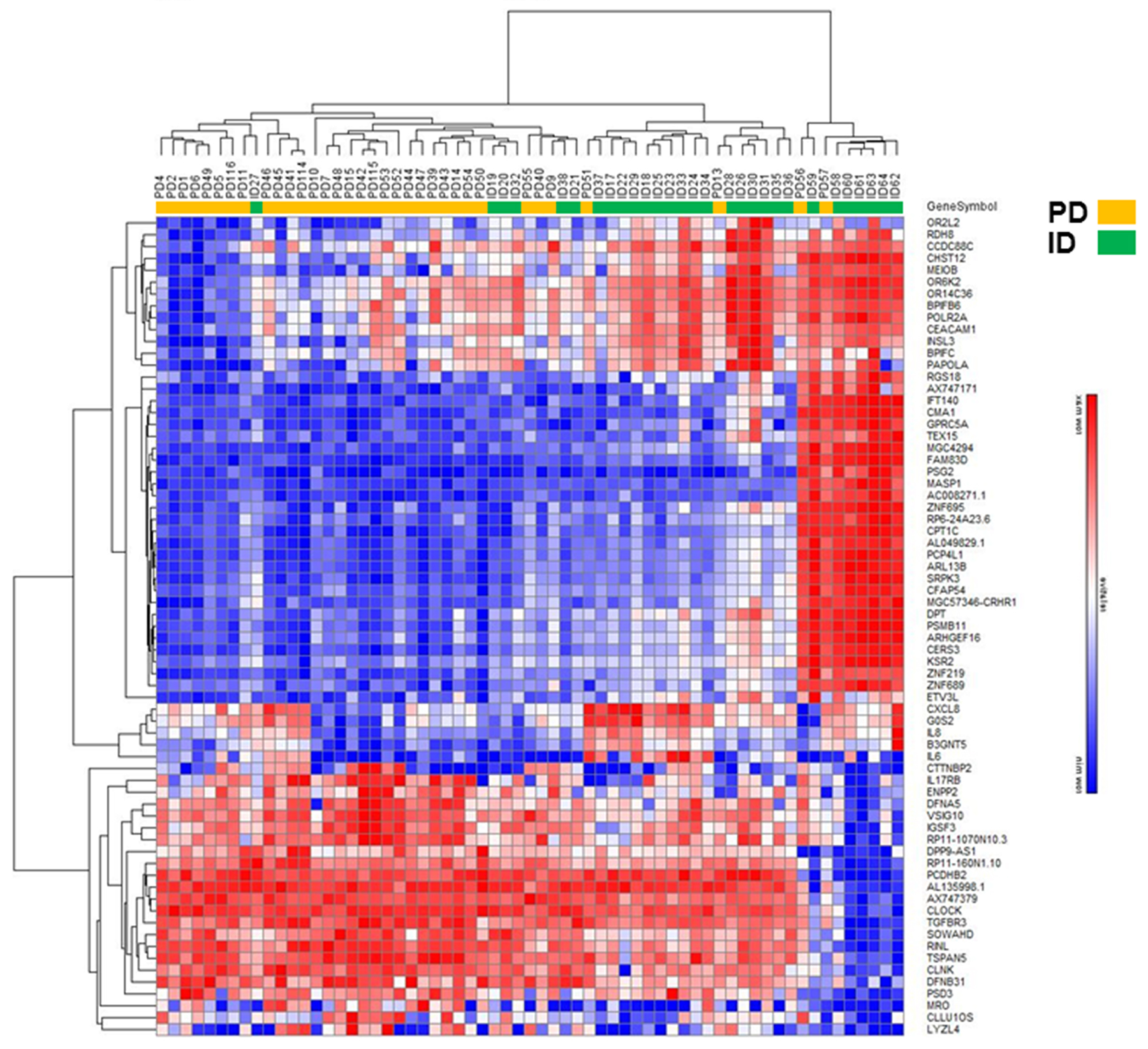 Hierarchical clustering analysis of differentially expressed mRNAs in PD vs ID early stage CLL.