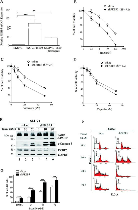 Silencing FKBP5 sensitizes ovarian cancer cells to taxol.