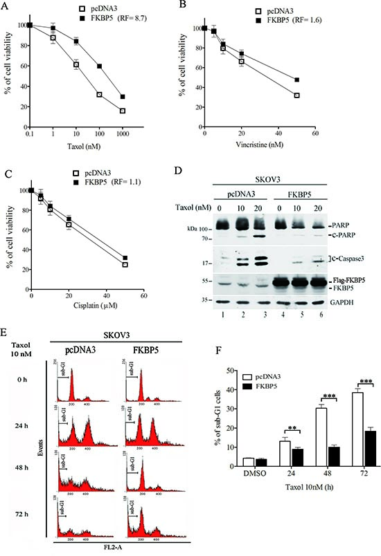 Ectopic expression of FKBP5 protects cells against taxol toxicity.