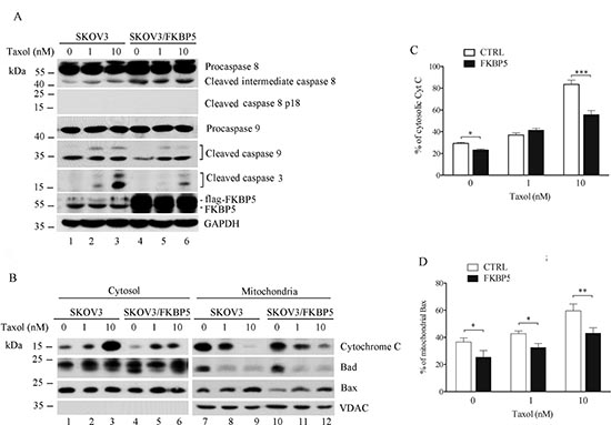 Reduction of mitochondrial apoptotic pathway by ectopic expression of FKBP5 in ovarian cancer cells.