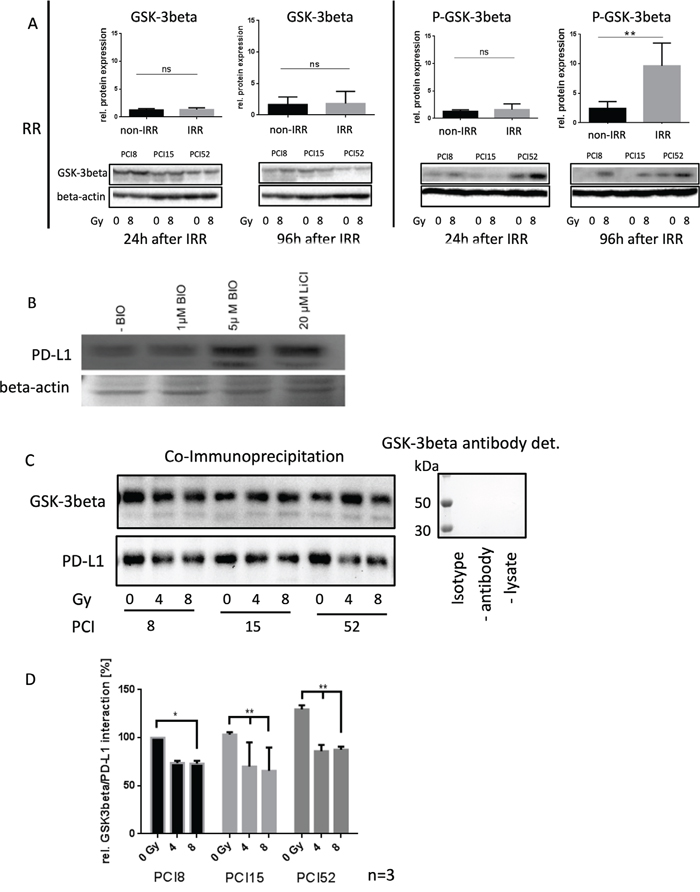 Regulation of PD-L1 protein expression.