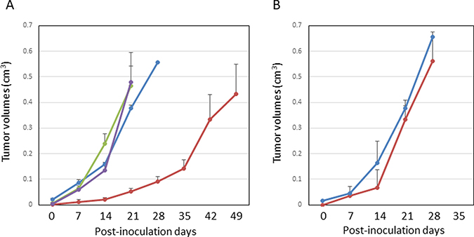 Growth suppression in the rat glioblastoma model.